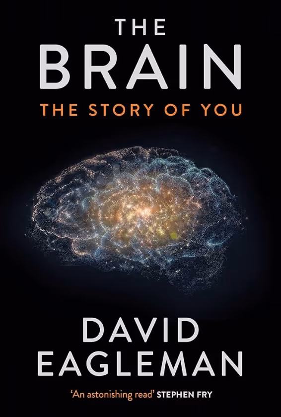 Book cover for 'The Brain: The Story of You' by David Eagleman featuring a glowing, digital-style brain illustration on a black background.