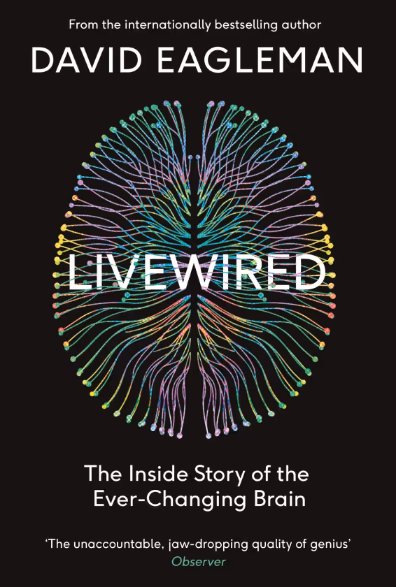 Book cover of Livewired by David Eagleman featuring a colorful, stylized brain illustration on a black background.